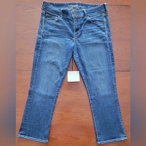 American Eagle Artist Crop 14 Regular